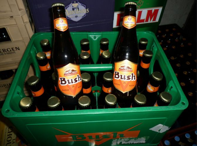 Bush Beer Ambrée 24x33cl Image